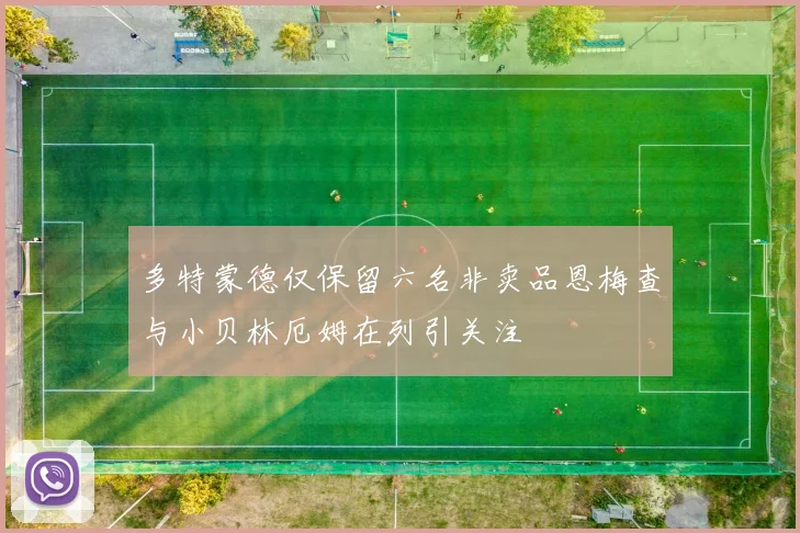多特蒙德仅保留六名非卖品恩梅查与小贝林厄姆在列引关注