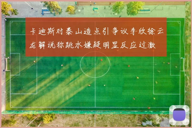 卡迪斯对泰山造点引争议李欣徐云龙解说称跳水嫌疑明显反应过激